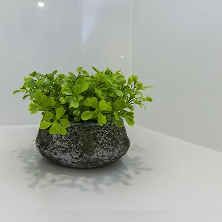 Apartment Cherry-Old Town