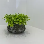 Apartment Cherry-old Town