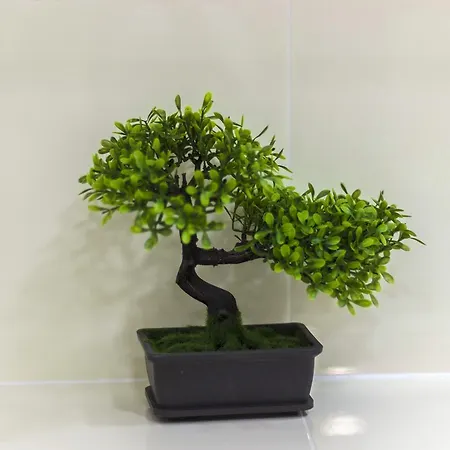 Cherry-old Town شقة