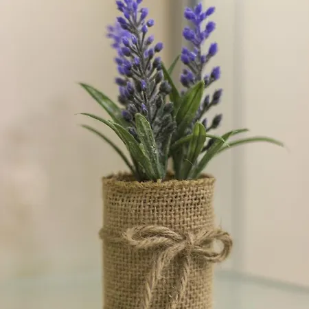 Cherry-old Town شقة سبليت